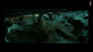 Crematory  Misunderstood