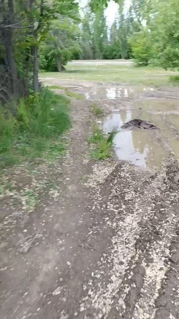 в магнит любой ценой смотреть онлайн