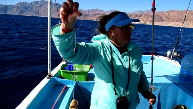 Рыбалка в Шарм эль Шейхе и Дахабе