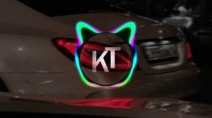 Roza Filberg - В белом самолёте (лезгинка & bass boosted)