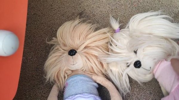 Собачки Lucky Doggy на улице