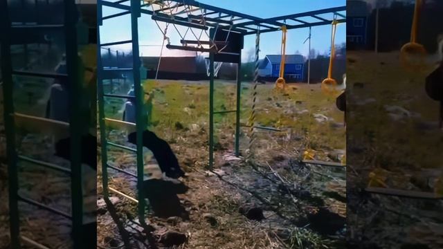 Спортивный комплекс смотреть онлайн