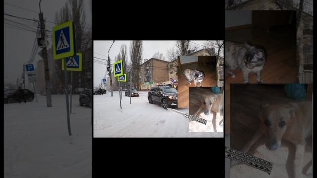 „горе-команда” 2 серия