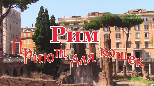 КОШКИ в развалинах античного храма / Рим смотреть онлайн