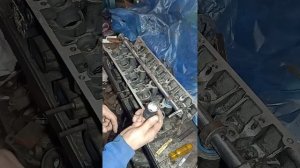 рассухариватель для 406  двигателя