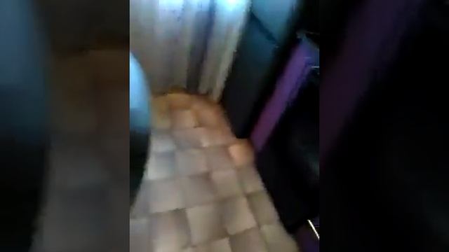 Прикол,,голова в банке". смотреть онлайн