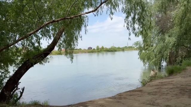 Продолжаю ЛЕЧИТЬ ПЯТКУ! Сухой ДЕРМАТИТ #мамаотличника #дерматит смотреть онлайн