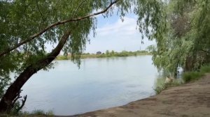 Продолжаю ЛЕЧИТЬ ПЯТКУ! Сухой ДЕРМАТИТ #мамаотличника #дерматит