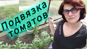 Подвязка помидоров в теплице!  Быстро и удобно!