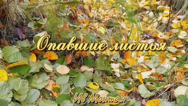 Ив Монтан - Опавшие листья
Хиты с пластинок на все времена. Красивая осень смотреть онлайн