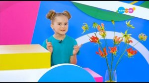 Навигатор. Новости. Ведущая Василисина Аня