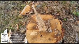 Совершенный военный инструмент