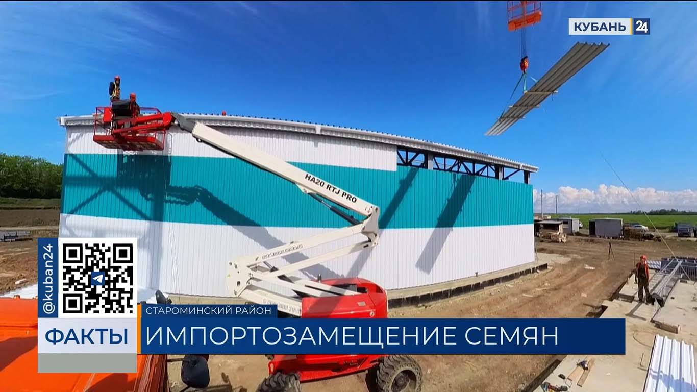 В строительство завода семян подсолнечника инвестируют 6 млрд рублей на Кубани