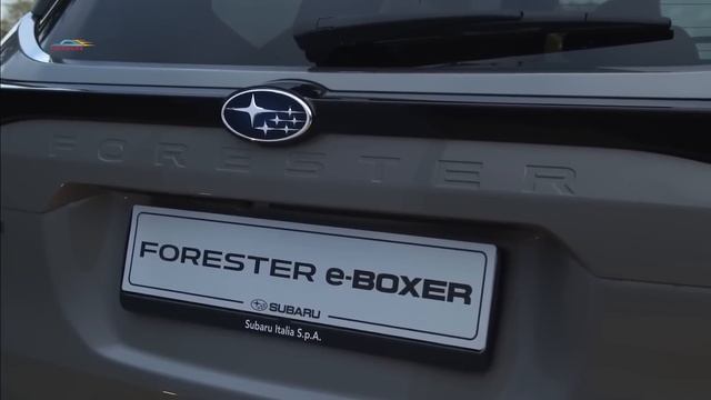 Что нового в Subaru Forester 2025? Детальный обзор и цены