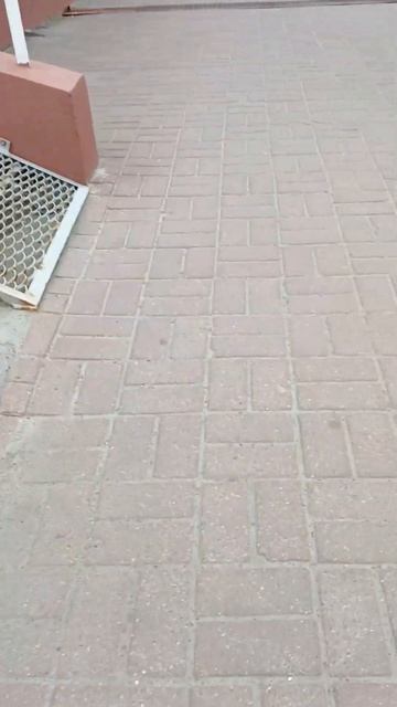 Эт я хакнул  #rip