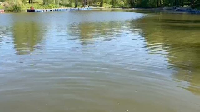 22.05.25 г. РК Волна смотреть онлайн