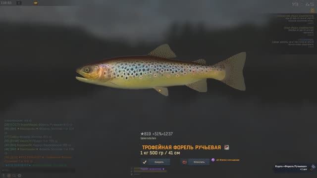 Fisher Online. Польша. Форель ручьевая Трофейное место