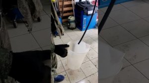 Промывка системы охлаждения от эмульсии, opel insignia, рабо