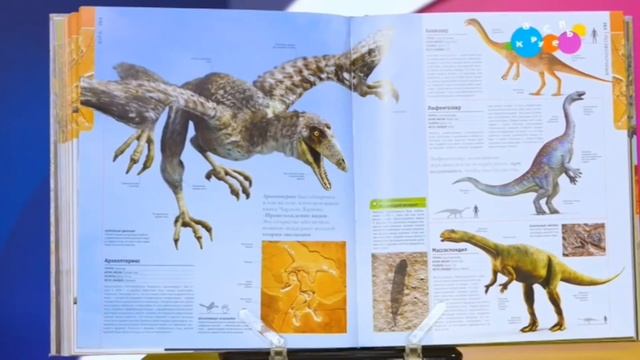 Навигатор. Новости (от 24.02.2025) смотреть онлайн