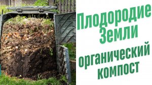 Органический компост