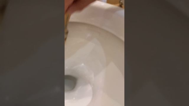 Лучшие учителя для успеха