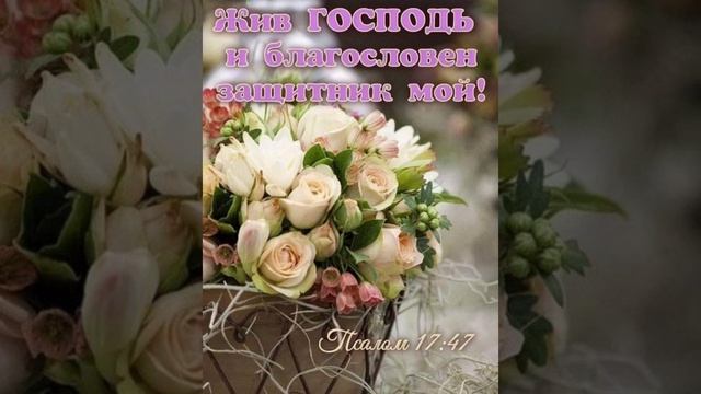 Буду жить под защитой Твоих крыл смотреть онлайн