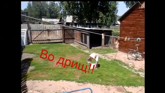 Задание!!Ведро холодной воды на голову!Поехали!!! смотреть онлайн