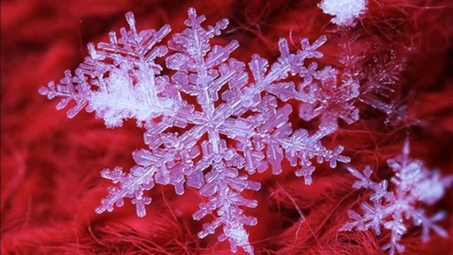 Белые снежинки смотреть онлайн