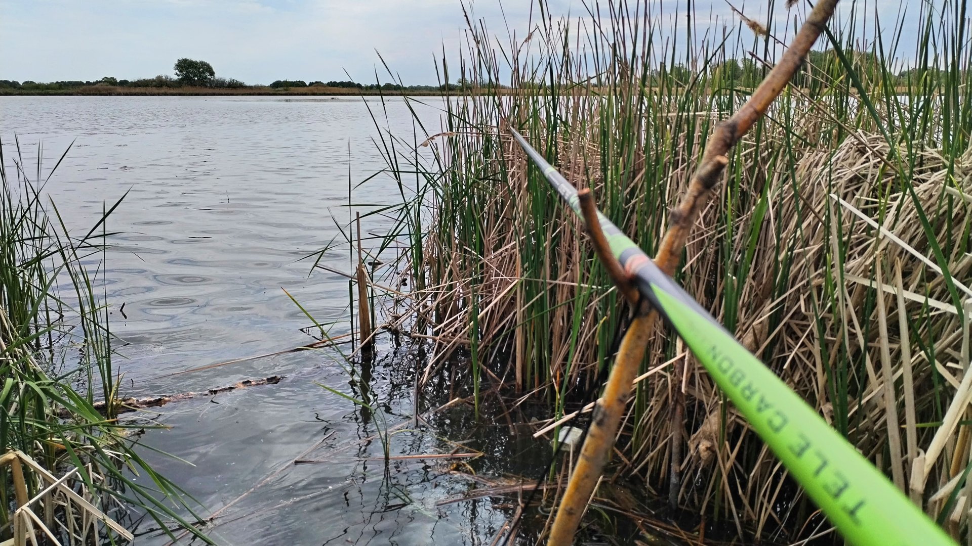 ЛОВЛЯ КАРАСЯ НА ПОПЛАВОК. Рыбалка весной на маховую удочку смотреть онлайн