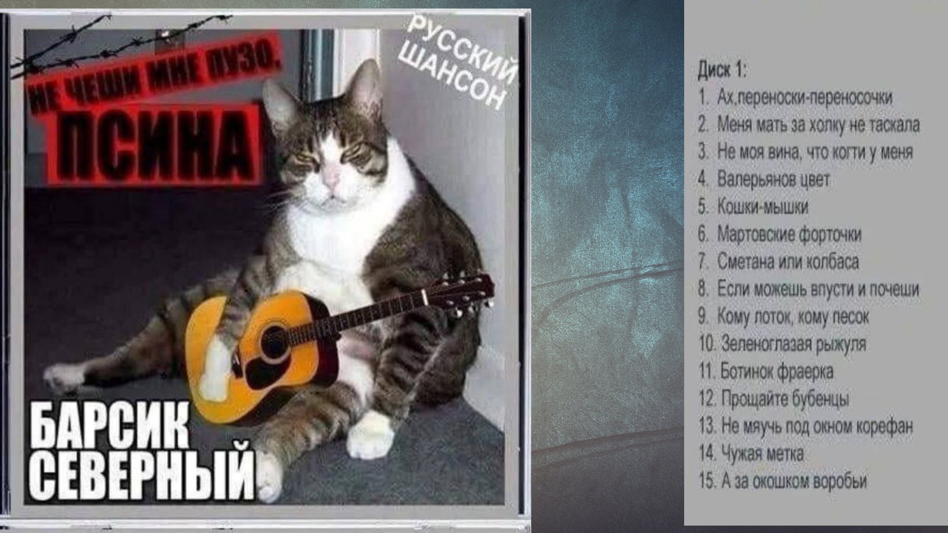 Песни кота Барсика Северного (песня под гитару) смотреть онлайн