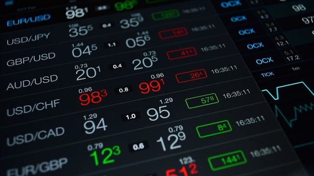 Customer Support Experience: A Newbie’s Perspective