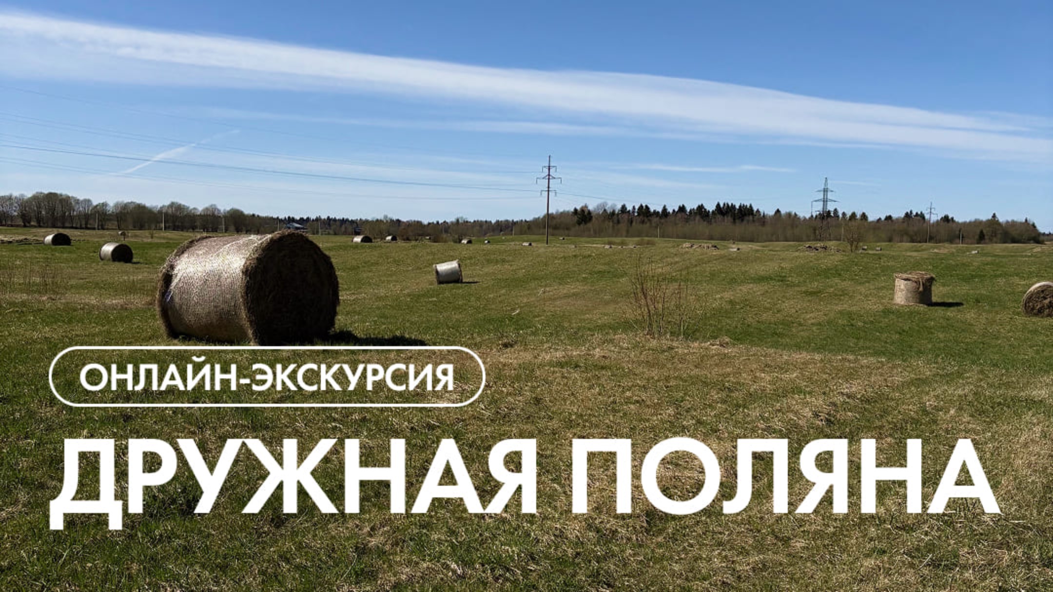 Онлайн-экскурсия в посёлок 