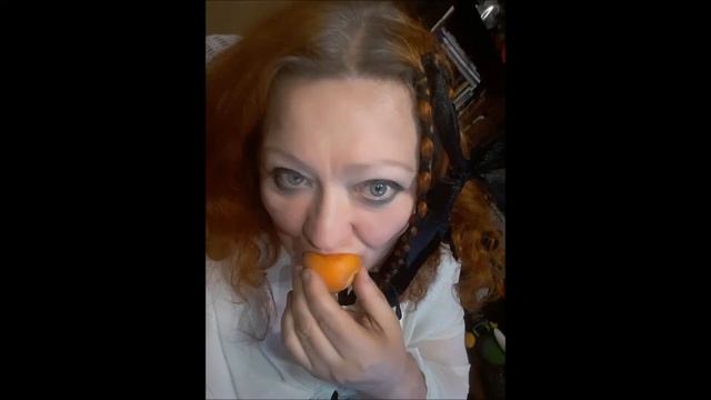 ВАЛЕНТИНА ВИНОГРАДОВА-ЕЛІАС Я СУМУЮ ЗА ТОБОЮ ...моєму ? смотреть онлайн