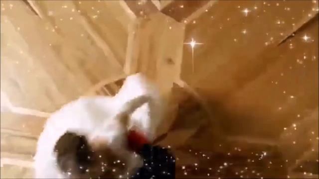 Белый вальс! смотреть онлайн