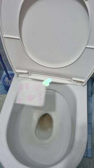 школа меня есть и Китай договорились с новым человеко? смотреть онлайн