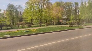 Автобус №206. Метро "Селигерская" — Лобненская улица