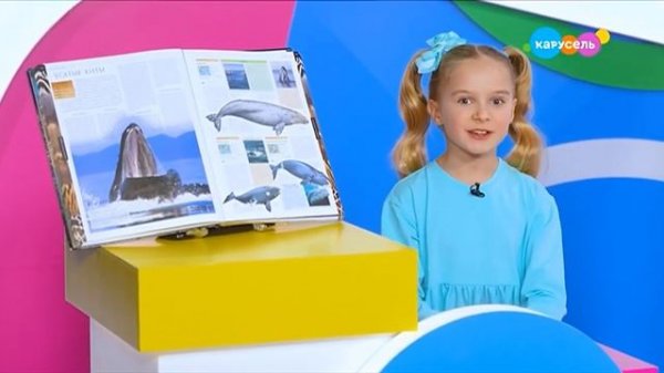 Навигатор. Новости (от 19.02.2025)