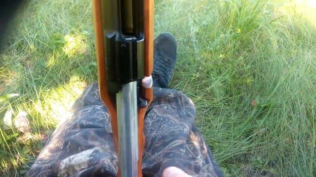 Лось 7-1. Надежный, легкий карабин. смотреть онлайн