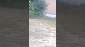 Мальчик в трусах 😨😨😨