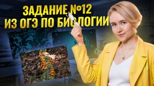 Задание 12 ОГЭ по биологии 2025: вирусы, бактерии, грибы | Умскул