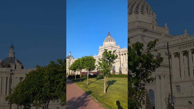 Одуванчики в Казани