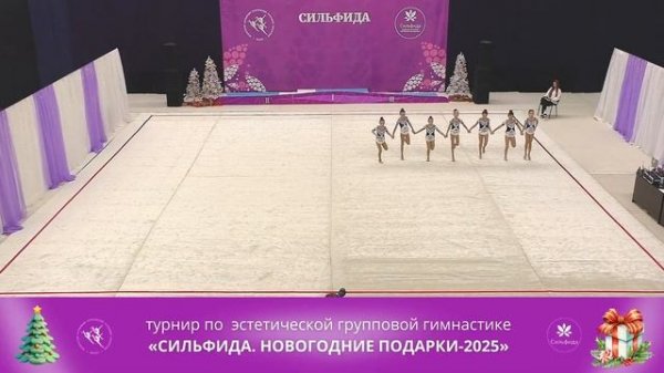 Турнир "Сильфида. Новогодние подарки - 2025" - Сильфида-Flex