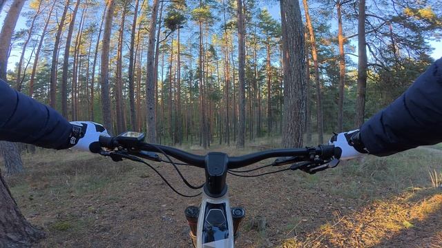 DJI POCKET 3 ВМЕСТО ACTION КАМЕРЫ | ТЕСТЫ #action5pro #pocket3 #djipocket3