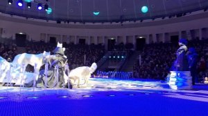САРАТОВСКИЙ ЦИРК. ШОУ ЛЕДЯНЫХ ФОНТАНОВ.24.12.23. СОБАЧКИ 🐕