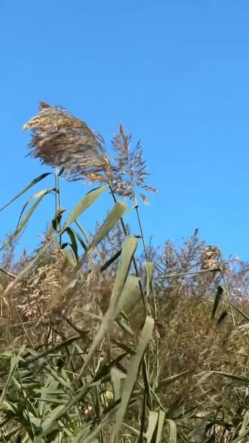 Летняя рыбалка на лодке☀️#fishing #голавль #рыбалка #лодк