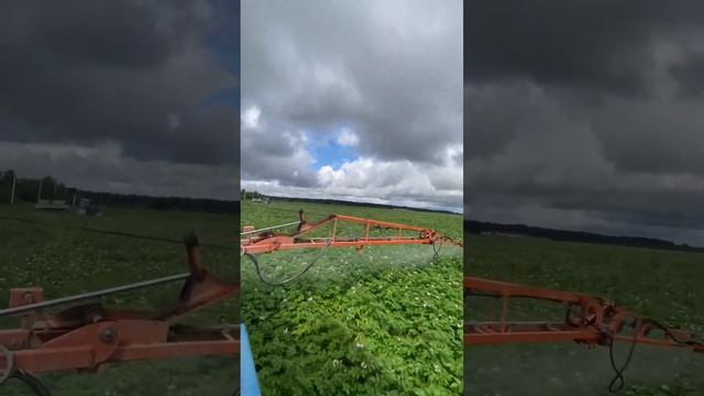 Опрыскиваем картофель от болезней и вредителей на Мтз