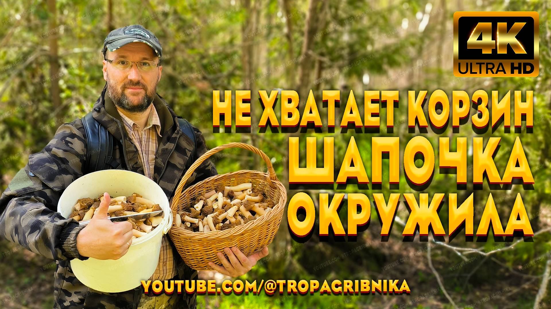 У Грибников Разбегаются Глаза От Такого Количества Сморчковой Шапочки. Verpa Bohemica.