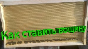 Как правильно ставить вощину? Советы от Профессора Кашковского