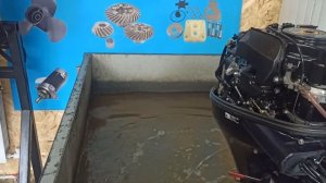 Запуск Tohatsu 20лс. Инжектор. Seamotors, Владивосток