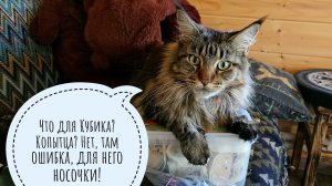 Распаковка посылки из Москвы от Анны. Кошка Морошка помогает и всё учитывает